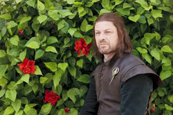 GameOfThrones_EpisodeStills_1x06_AGoldenCrown_0043