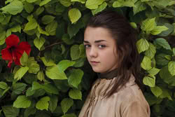 GameOfThrones_EpisodeStills_1x08_ThePointyEnd_0036