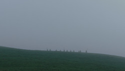 extant_GameOfThrones_1x01-WinterIsComing_0585
