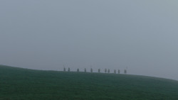 extant_GameOfThrones_1x01-WinterIsComing_0589