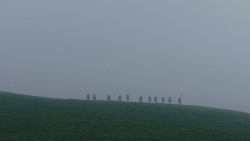 extant_GameOfThrones_1x01-WinterIsComing_0591