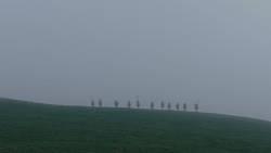 extant_GameOfThrones_1x01-WinterIsComing_0592