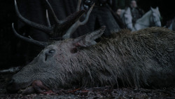 extant_GameOfThrones_1x01-WinterIsComing_1140