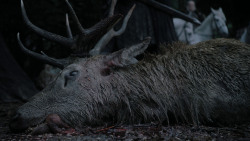 extant_GameOfThrones_1x01-WinterIsComing_1142