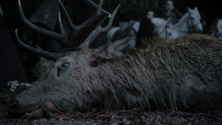 extant_GameOfThrones_1x01-WinterIsComing_1143