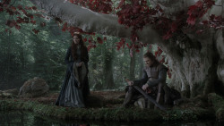 extant_GameOfThrones_1x01-WinterIsComing_1645