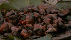 extant_GameOfThrones_1x01-WinterIsComing_4787