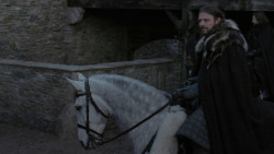 extant_GameOfThrones_1x01-WinterIsComing_5632