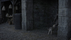 extant_GameOfThrones_1x01-WinterIsComing_5648
