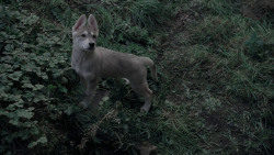 extant_GameOfThrones_1x01-WinterIsComing_5675