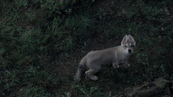extant_GameOfThrones_1x01-WinterIsComing_5679