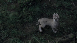 extant_GameOfThrones_1x01-WinterIsComing_5680