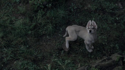 extant_GameOfThrones_1x01-WinterIsComing_5681