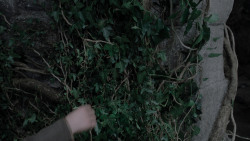 extant_GameOfThrones_1x01-WinterIsComing_5739