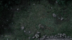 extant_GameOfThrones_1x01-WinterIsComing_5821