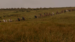 extant_GameOfThrones_1x02-TheKingsroad_0001