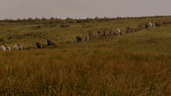 extant_GameOfThrones_1x02-TheKingsroad_0003
