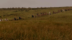 extant_GameOfThrones_1x02-TheKingsroad_0004
