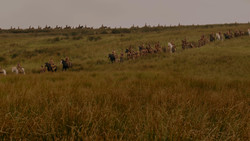 extant_GameOfThrones_1x02-TheKingsroad_0005