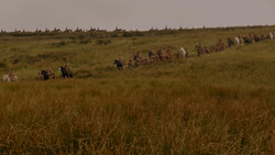 extant_GameOfThrones_1x02-TheKingsroad_0007