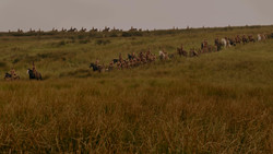 extant_GameOfThrones_1x02-TheKingsroad_0015
