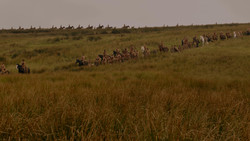 extant_GameOfThrones_1x02-TheKingsroad_0017