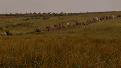 extant_GameOfThrones_1x02-TheKingsroad_0018