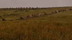 extant_GameOfThrones_1x02-TheKingsroad_0019