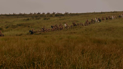 extant_GameOfThrones_1x02-TheKingsroad_0022
