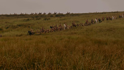 extant_GameOfThrones_1x02-TheKingsroad_0023