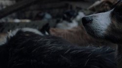 extant_GameOfThrones_1x02-TheKingsroad_0342