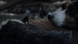 extant_GameOfThrones_1x02-TheKingsroad_0343