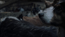 extant_GameOfThrones_1x02-TheKingsroad_0344