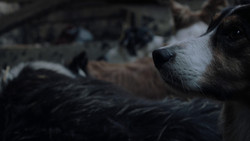 extant_GameOfThrones_1x02-TheKingsroad_0345