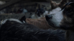extant_GameOfThrones_1x02-TheKingsroad_0346