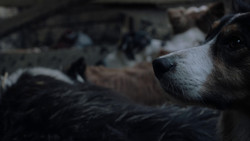 extant_GameOfThrones_1x02-TheKingsroad_0347