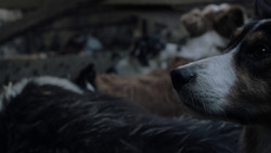 extant_GameOfThrones_1x02-TheKingsroad_0348