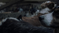 extant_GameOfThrones_1x02-TheKingsroad_0349