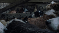 extant_GameOfThrones_1x02-TheKingsroad_0351