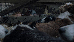 extant_GameOfThrones_1x02-TheKingsroad_0352