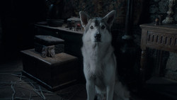 extant_GameOfThrones_1x02-TheKingsroad_1271
