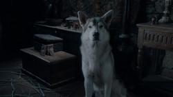 extant_GameOfThrones_1x02-TheKingsroad_1273
