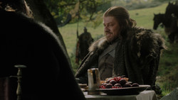 extant_GameOfThrones_1x02-TheKingsroad_2213
