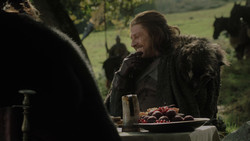 extant_GameOfThrones_1x02-TheKingsroad_2223