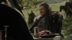 extant_GameOfThrones_1x02-TheKingsroad_2236