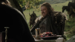 extant_GameOfThrones_1x02-TheKingsroad_2237