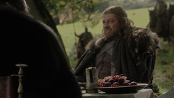 extant_GameOfThrones_1x02-TheKingsroad_2334
