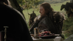 extant_GameOfThrones_1x02-TheKingsroad_2342