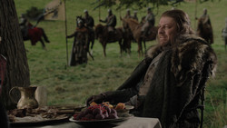 extant_GameOfThrones_1x02-TheKingsroad_2388