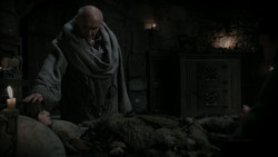 extant_GameOfThrones_1x02-TheKingsroad_2996